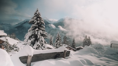 白天，大雪覆盖了山和树